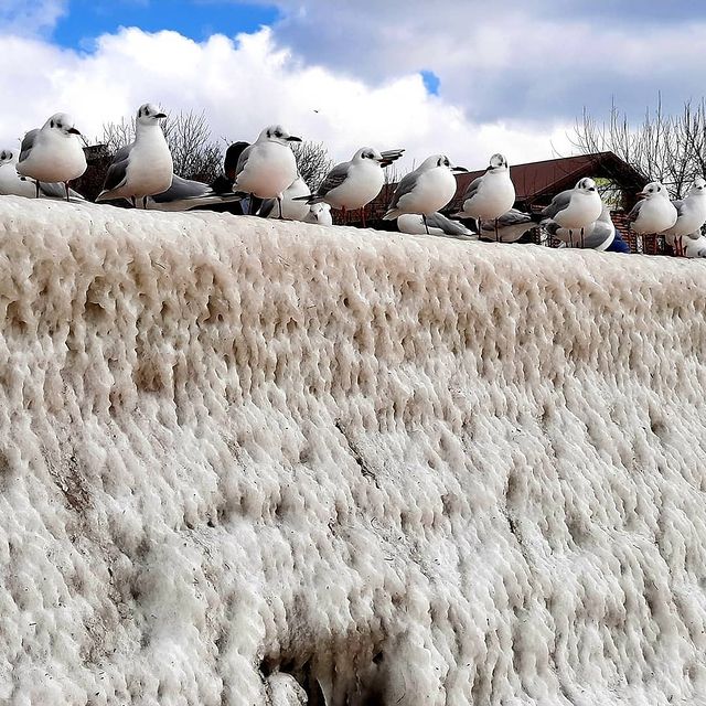 Азовское море сковали плотные льды: завораживающие фото
